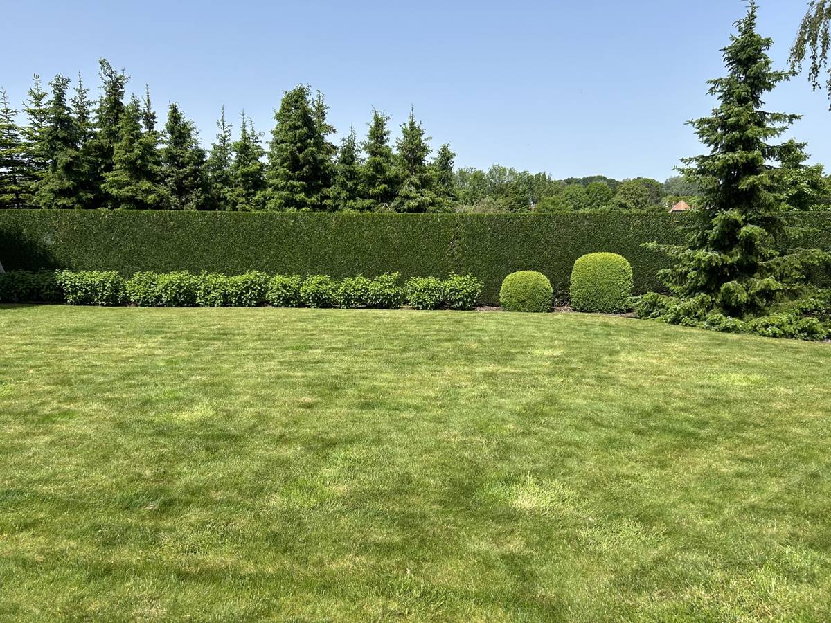 Tuin van Tuinen Segers