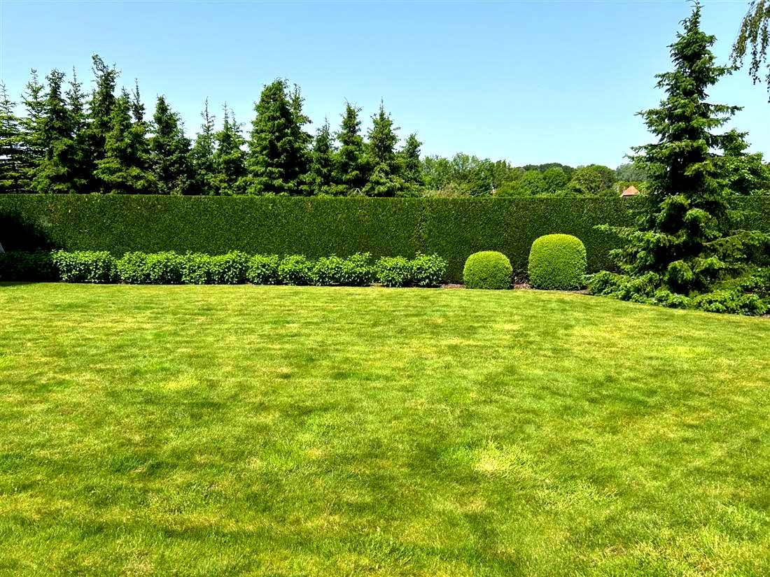 Afgewerkte tuin, Brakel