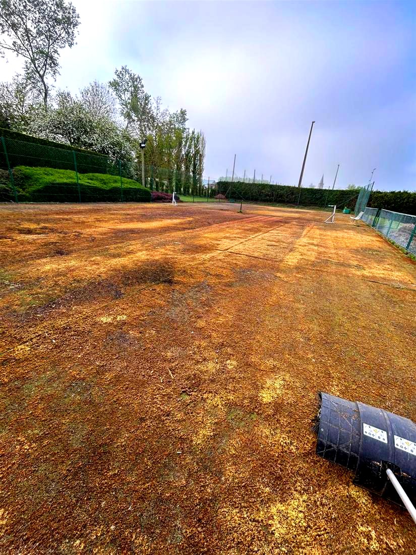 Verwaarloosd tennisplein vóór opkuis, Gooik